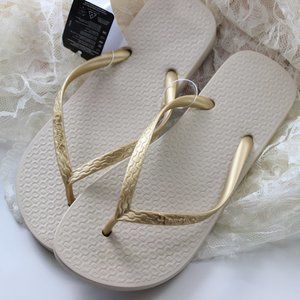 Women or Girl Ipanema Flip Flops Classic Tan